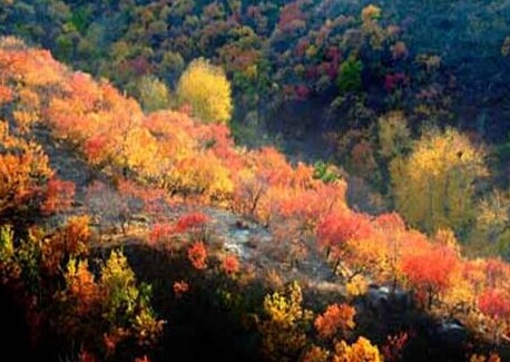 昌平蟒山森林公园